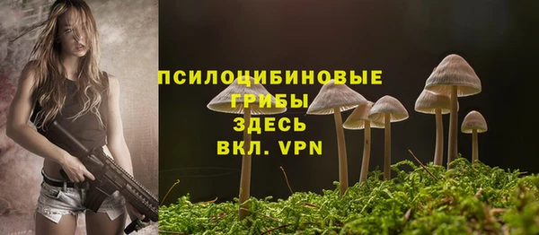 spice Белокуриха