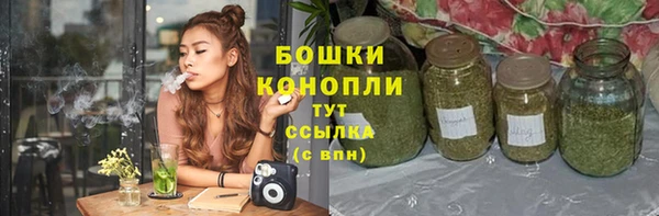 гашик Ростов